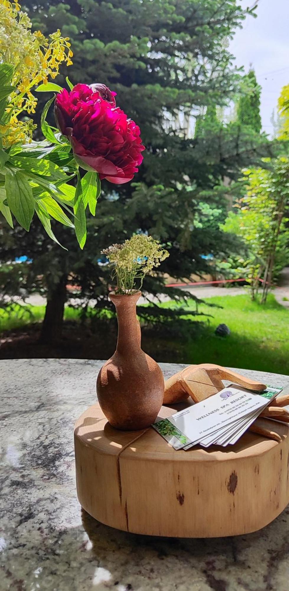 Aya Maria Wellness Spa Resort Dzoraghpʼyur Exteriér fotografie