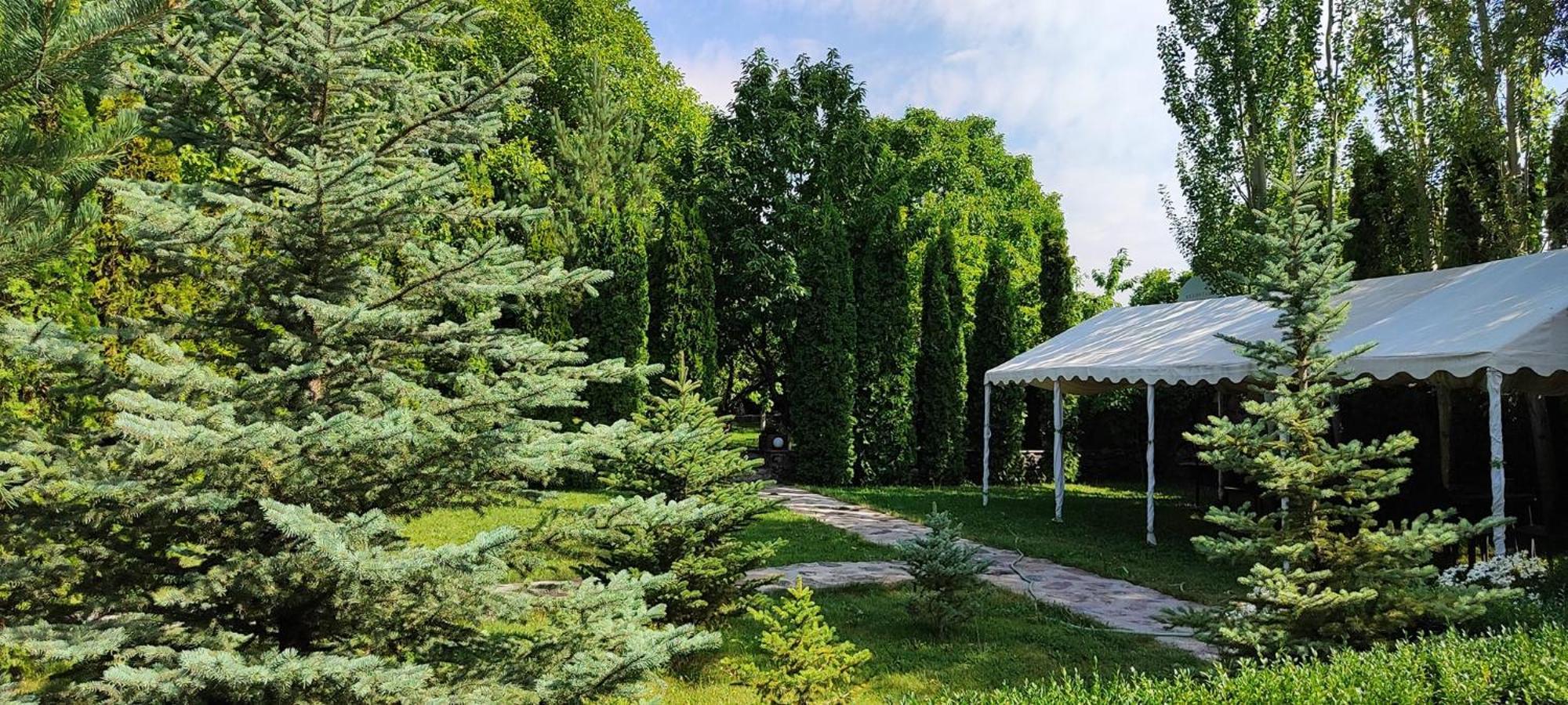 Aya Maria Wellness Spa Resort Dzoraghpʼyur Exteriér fotografie