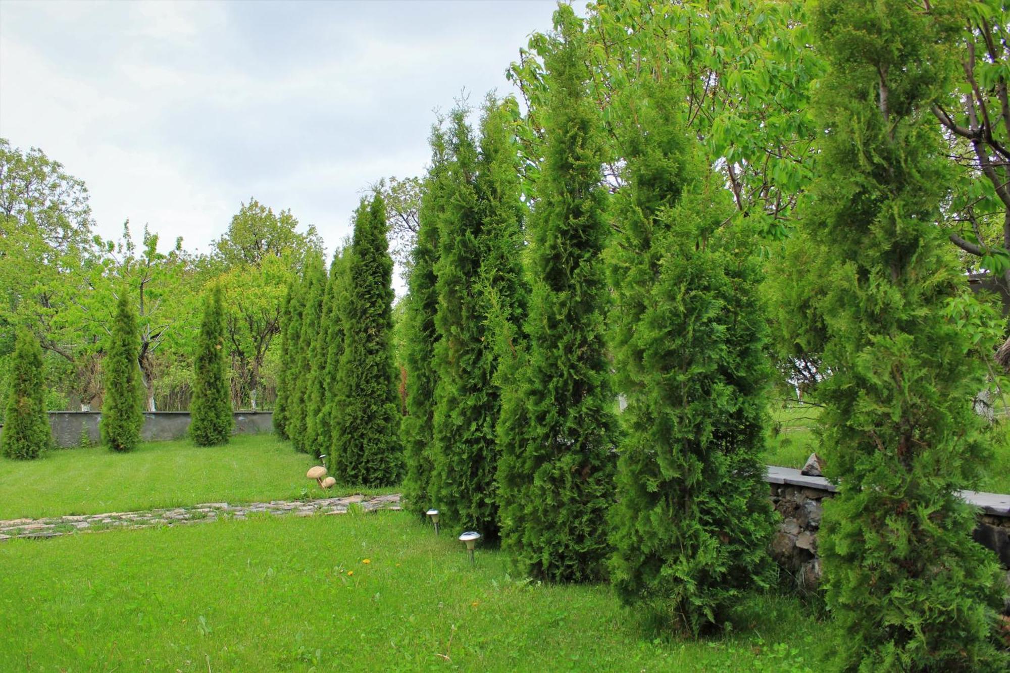 Aya Maria Wellness Spa Resort Dzoraghpʼyur Exteriér fotografie